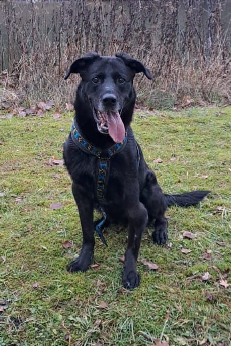 WhatsApp Bild 2025-05-02 um 10.25.44_b508bf7d